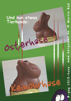 Osterhase-Keinohrhase Postkarte